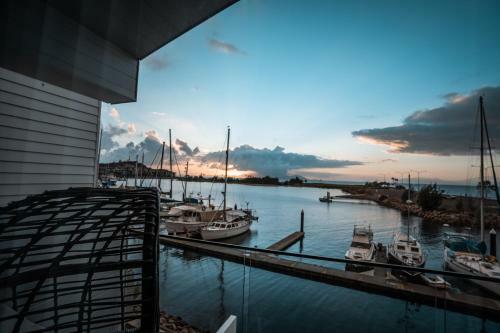Dacha On Maggie - New! - First-class Island Luxury