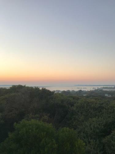 Wombat Hill