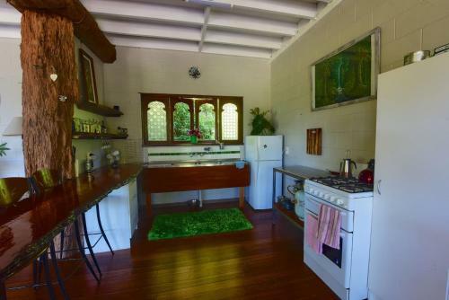 A Daintree Garden