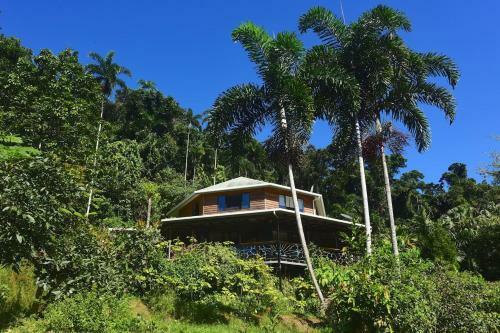 A Daintree Garden