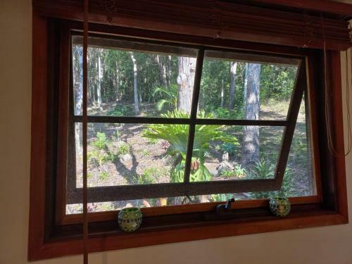 Lodge The Junglehouse Noosa