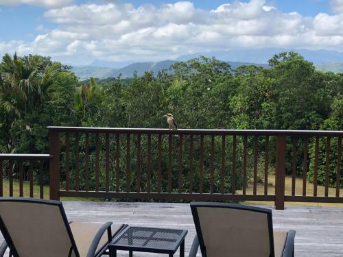 Daintree Valley Cottage
