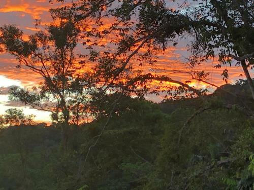 Daintree Valley Cottage
