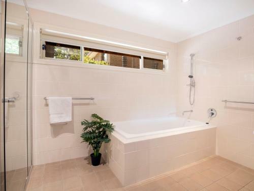 The Treehouse Jervis Bay Rentals