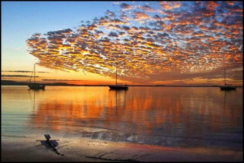 Apartamento Birdsong Ridge - Where Nature Meets The Ocean.