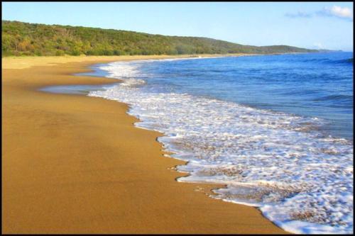 Apartamento Birdsong Ridge - Where Nature Meets The Ocean.