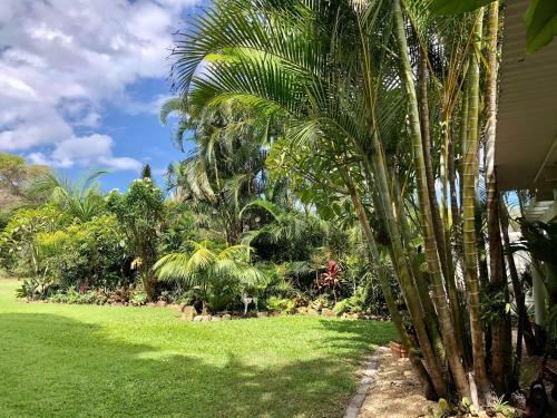 The Palms Beach House