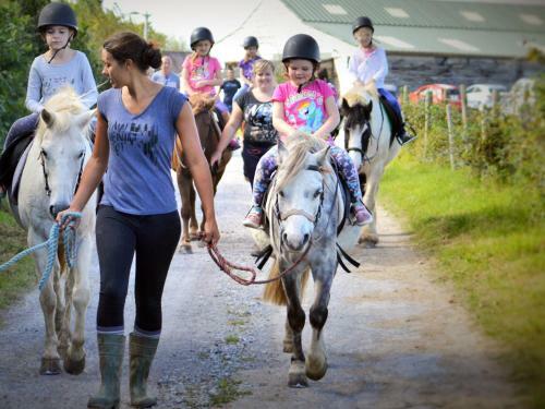 Agroturismo Clyne Farm Centre