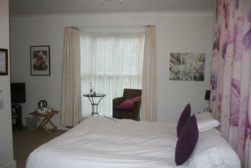Hostal Patricks With Rooms