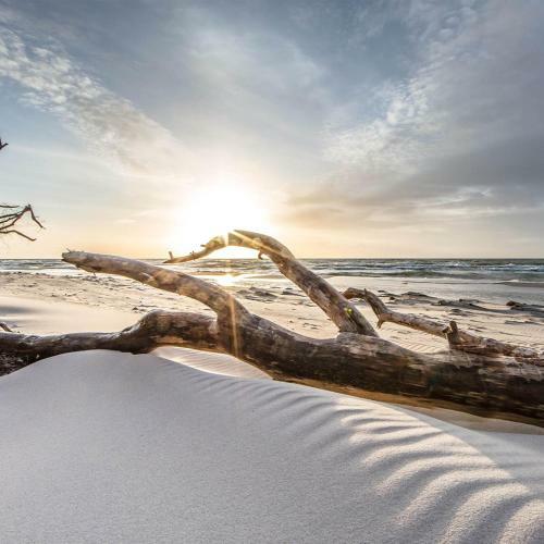 Driftwood Villa's - Scotts Head