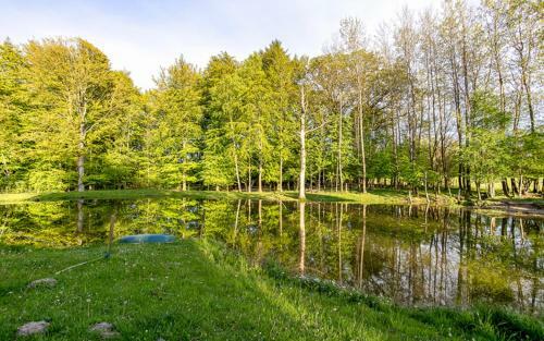Bj�rkeslund
