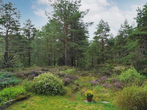 Holiday Home Fagerfj�ll V
