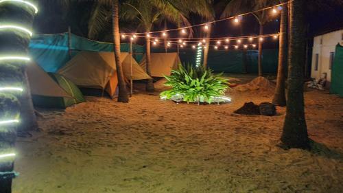 Zone 51 Malpe