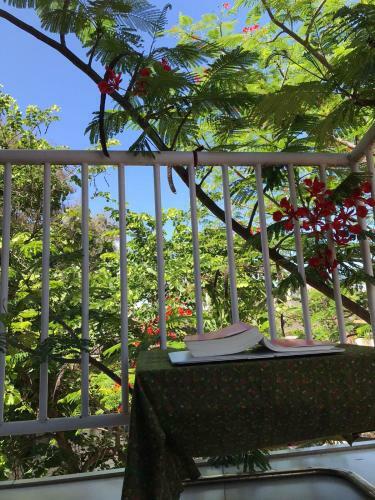 Apartamento Shav?san? Homestay