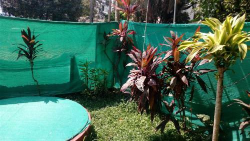 Hostal Deauvill Home Stay
