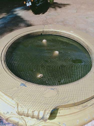 Hotel Mohans Ayurvedic Beach Resort