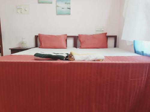 Varkala Days Home Stay