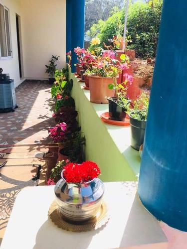 Hostal Nakshatra Guest House