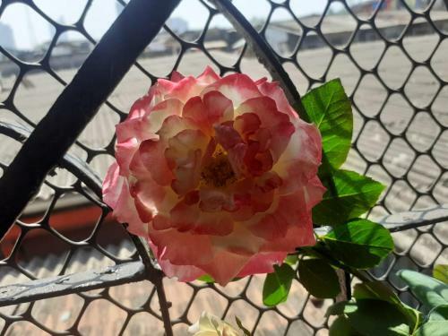 Villa Chaitanya Holiday Home