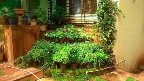Villa Chaitanya Holiday Home