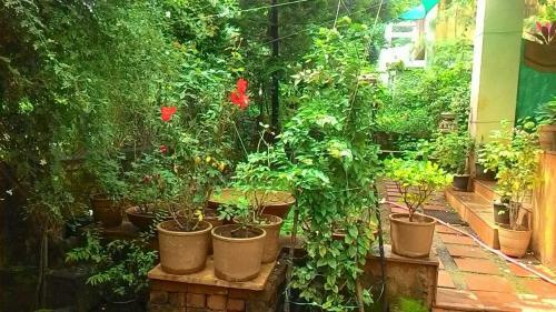 Villa Chaitanya Holiday Home