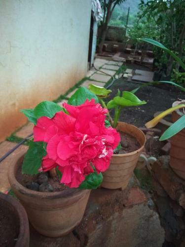 Villa Chaitanya Holiday Home