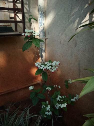Villa Chaitanya Holiday Home