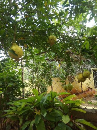 Villa Chaitanya Holiday Home