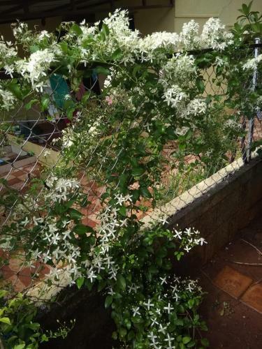 Villa Chaitanya Holiday Home