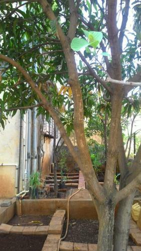 Villa Chaitanya Holiday Home