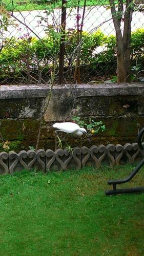Villa Chaitanya Holiday Home