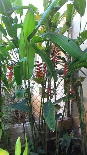 Villa Chaitanya Holiday Home