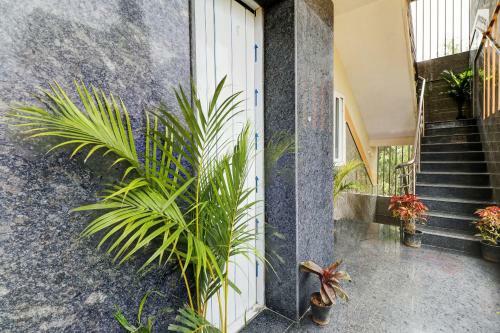 Hotel Oyo 82631 Dms Service Apartment