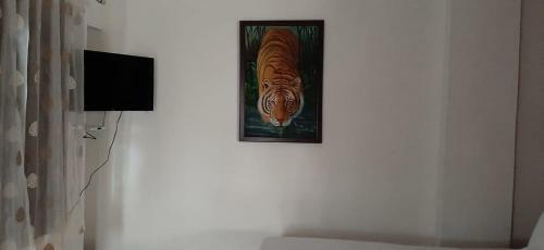 Hostal Shiv Palace Guest House
