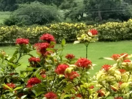 Siddhi Farms And Resort