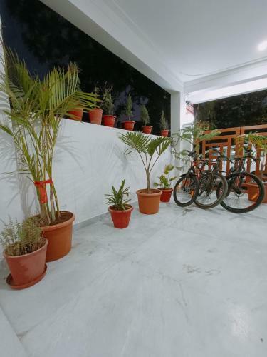Apartamento Choudhary White House Udaipur