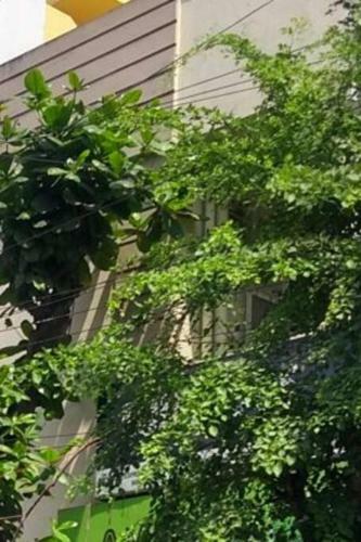 Apartamento East Coast Guest House