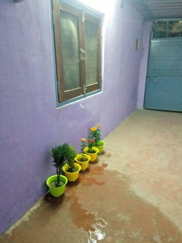 Apartamento Travellers Guest House