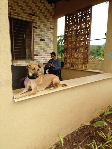 K Villa - Cheerful 3 Bhk Colonial Villa With Garden