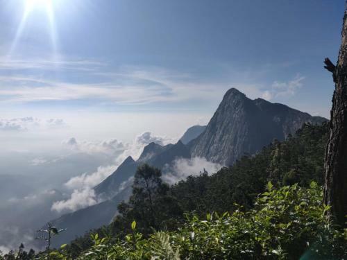 Camp N Trek - Munnar Lakeview Adventure
