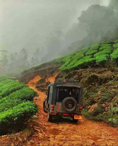 Camp N Trek - Munnar Lakeview Adventure