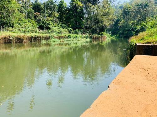 Villa Wayanad River Bank
