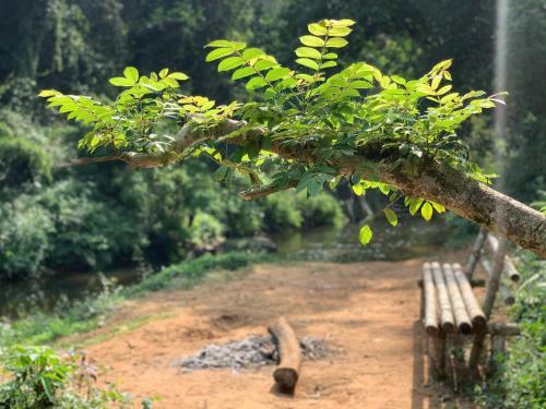 Villa Wayanad River Bank