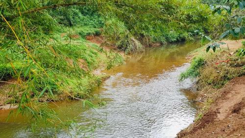 Villa Wayanad River Bank