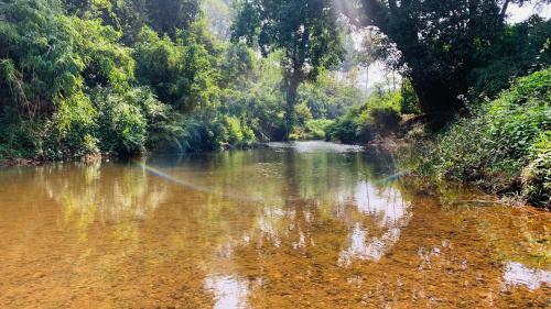 Villa Wayanad River Bank