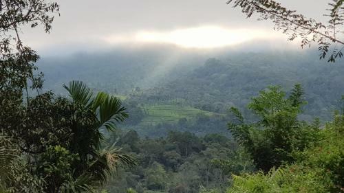 Villa Zalo Wayanad
