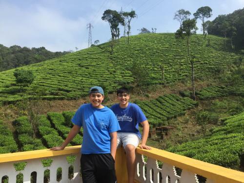 Tea Trees Service Villas