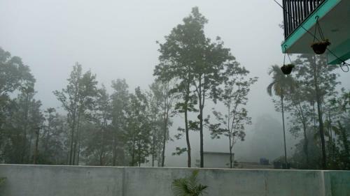 Wayanad Snow Vibes