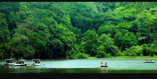 Wayanad Snow Vibes