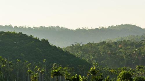 Sharanyam Homestay